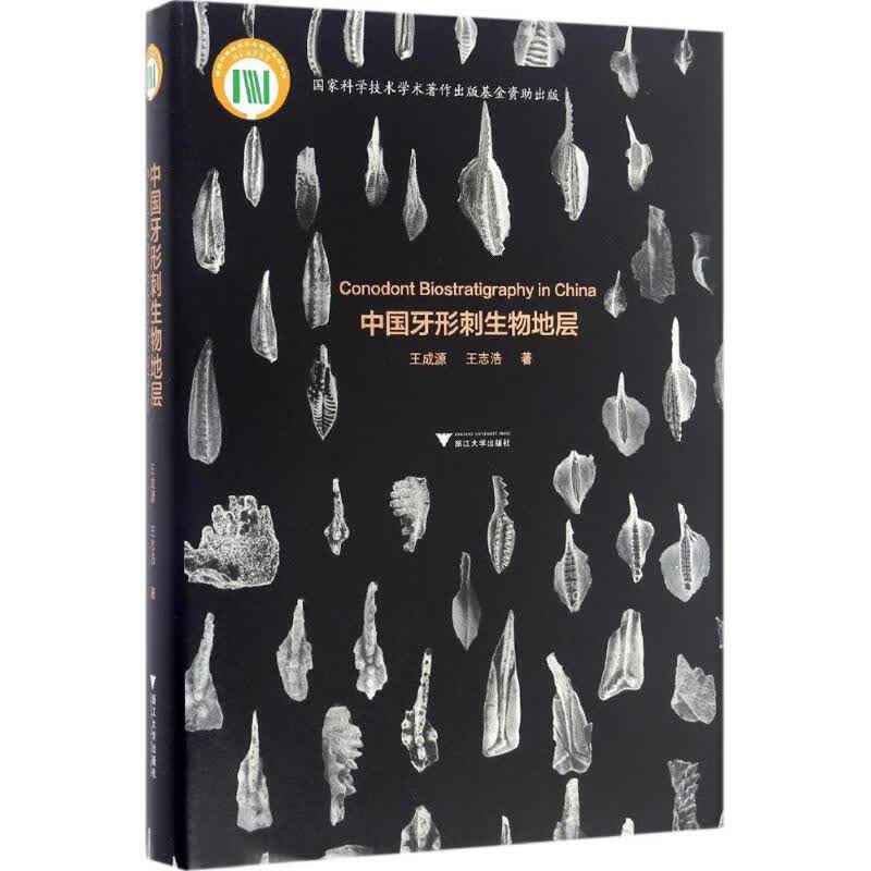 中国牙形刺生物地层