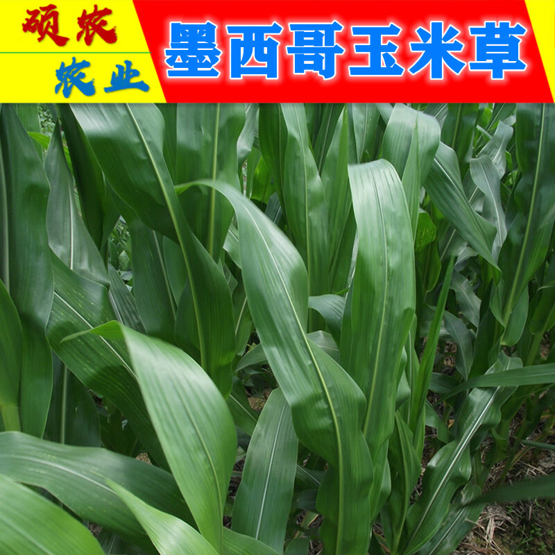 怎么看花草林木类商品的历史价格|花草林木类价格走势图