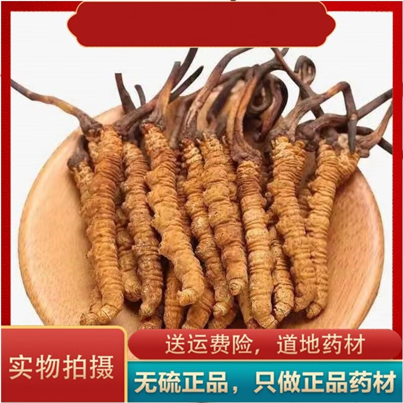冬虫夏草 中药材 冬虫夏草 虫草 冬虫夏草 精选 虫草