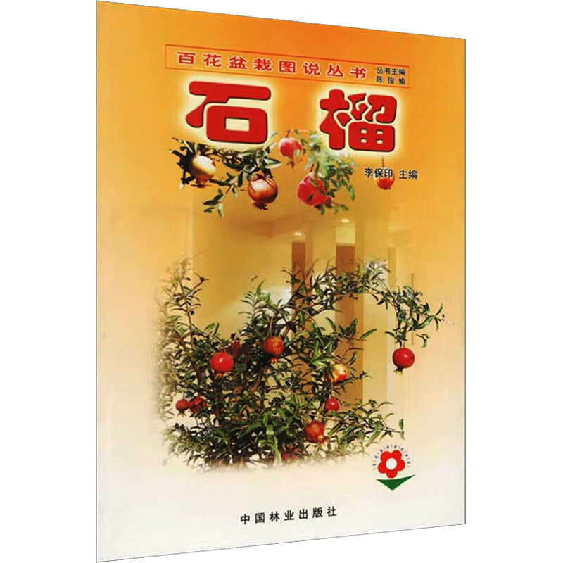 石榴