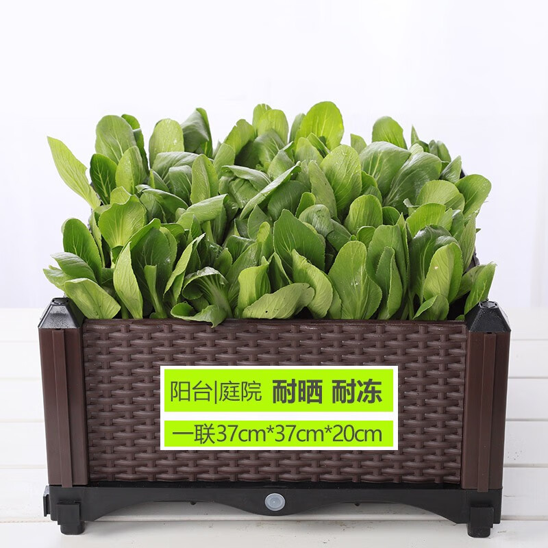 长方形大花盆花箱户外diy家庭庭院菜园屋顶 一联种植箱37*37*20cm