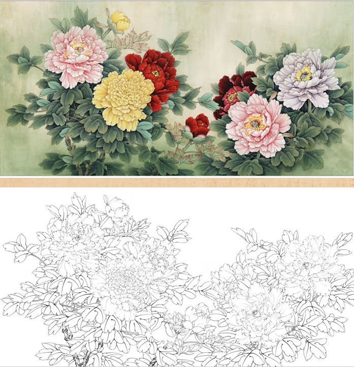工笔画白描底稿有步骤李晓明横幅牡丹初学者临摹宣纸过稿 春色满园