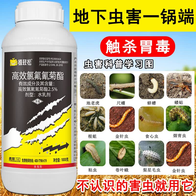 农药杀虫剂高效氯氟氰菊酯蔬菜果树菜青虫蛴螬地下害虫土壤专用药