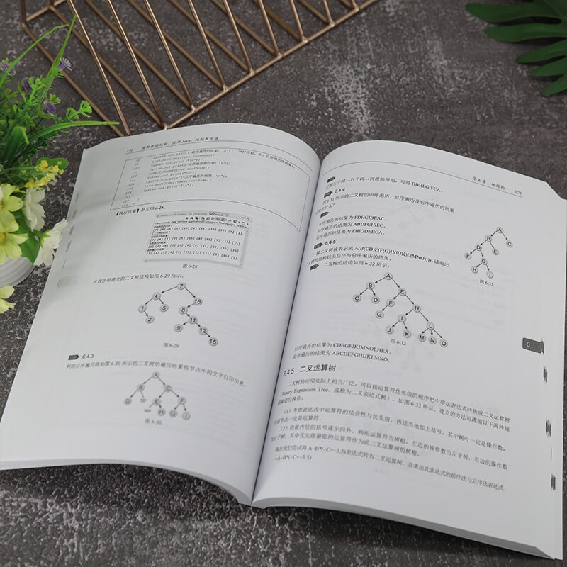 图解数据结构--使用Java（视频教学版）