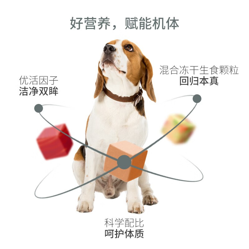 伯纳天纯宠物狗粮怎么样？体验后讲实情内幕？