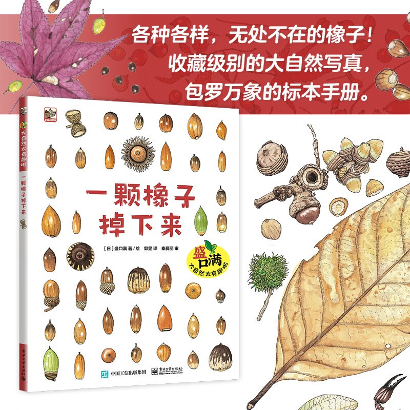 盛口满：大自然太有趣啦自然科普绘本4-8岁小猛犸童书(精装4册)详情图