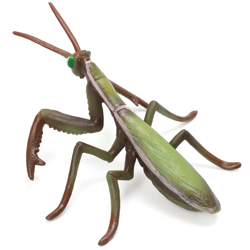 mechile仿真昆虫模型动物玩具蜜蜂蝴蝶蜻蜓儿童认知蝎子开学第一课