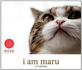 正版现货I Am Maru mugumogu William Morro 9780062088413