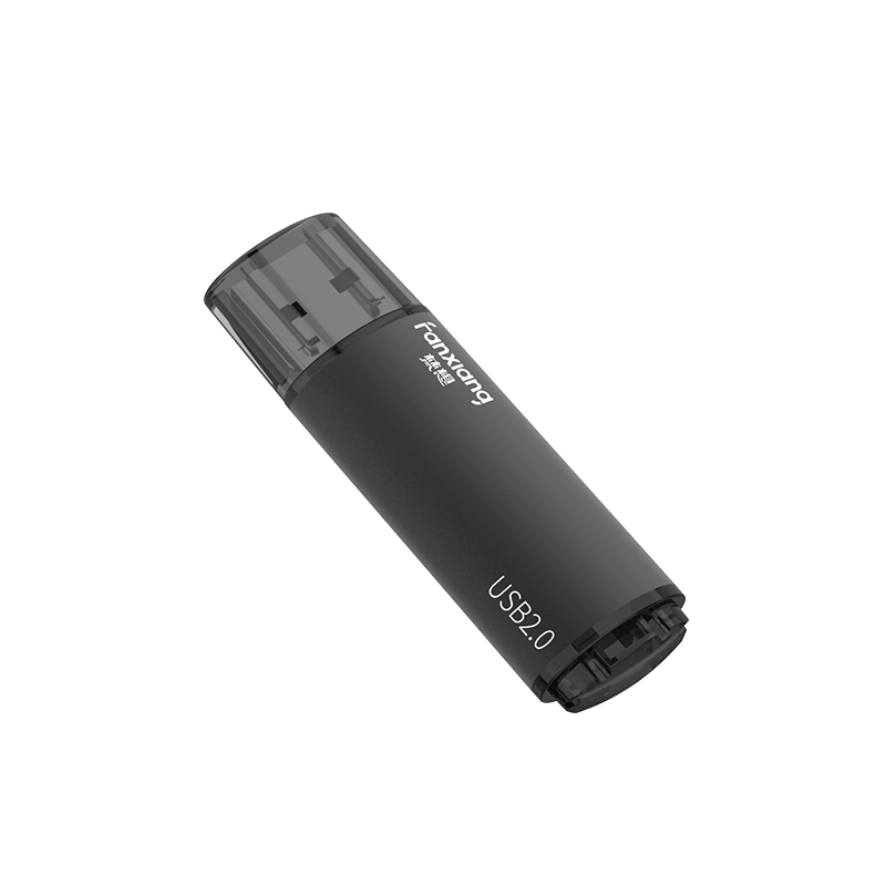 梵想（FANXIANG）16GB USB2.0 F202招标U盘 投标盒装电脑优盘 小容量金属U盘 彩色版10个/盒