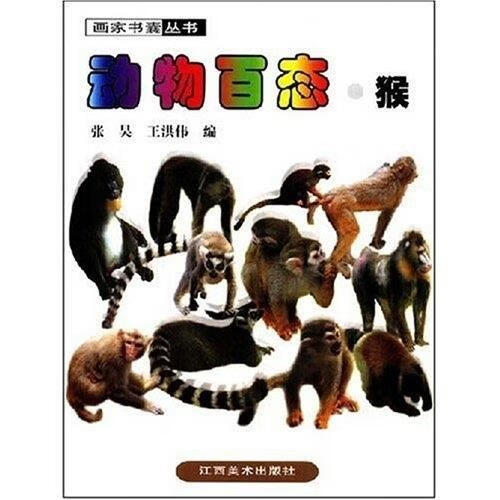 动物百态·猴