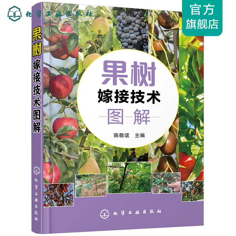 果树嫁接技术图解