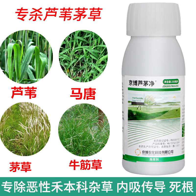 除芦苇精喹禾灵大豆牛筋草苗圃池塘专杀芦苇茅草烂根药除草剂农药 250