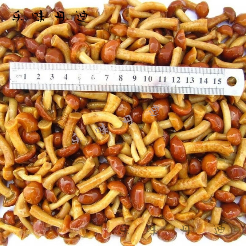 森林小草東北滑子菇蘑菇吉林長白山特產新鮮袋裝腌750g清水滑子蘑 3000g