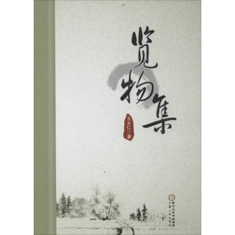览物集 王大仁 作 书籍