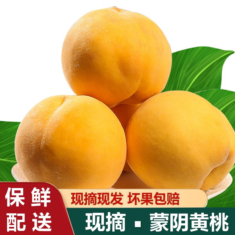 莫江南黄桃水果蜜桃礼盒蒙阴鲜果当季应季孕妇时令 净重1.6斤怎么看?