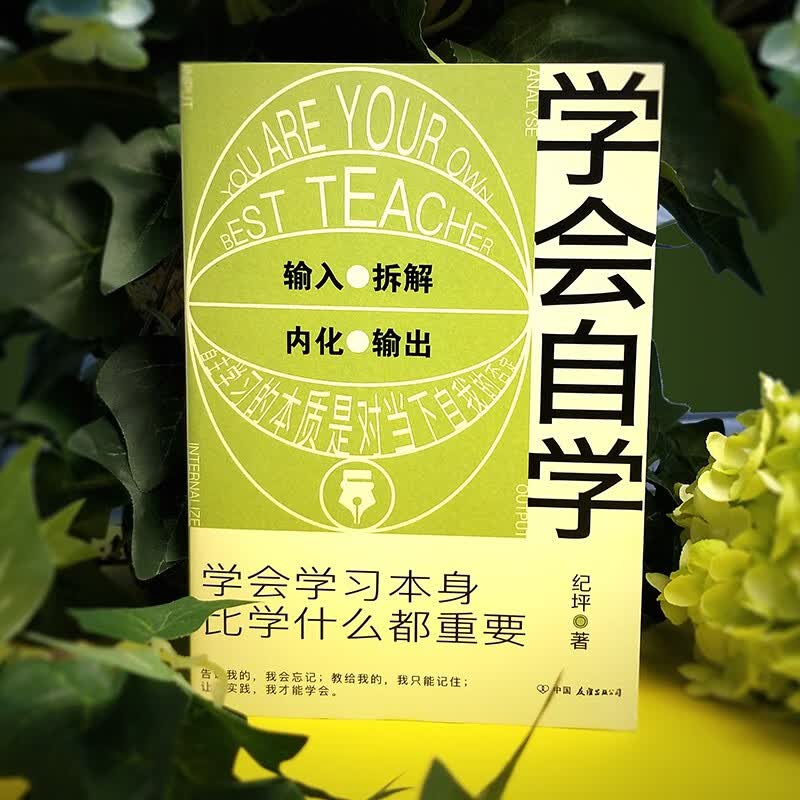 学会自学：学会学习本身，比学什么都重要详情图