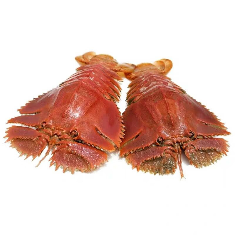 海鲜阁 琵琶虾 鲜活冷冻琵琶虾 九齿扇虾 虾姑排 海鲜水产 顺丰航空