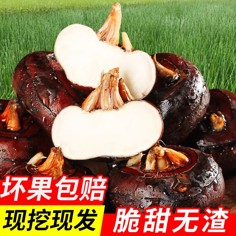 安徽特产新鲜马蹄果珍珠荸荠地栗地梨农家水果蔬菜红马蹄果现货 1斤小果