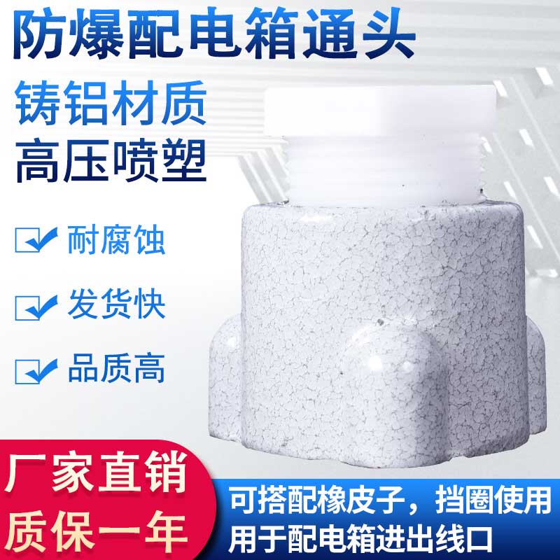 仁聚益格兰头接头通头4分6分进出线口防爆配电箱引入装置压紧铁螺配件