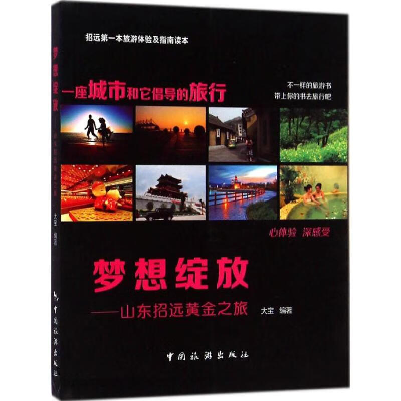 梦想绽放  大宝 编 书籍