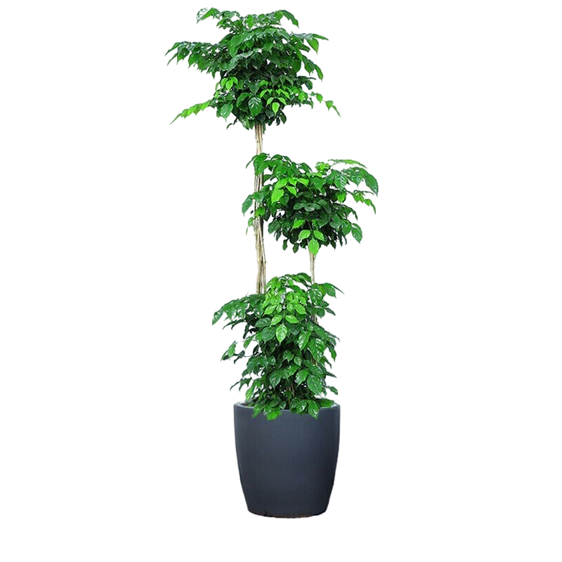 Only youСʱǮɢβ»ͩԿҵǨ Ҹ