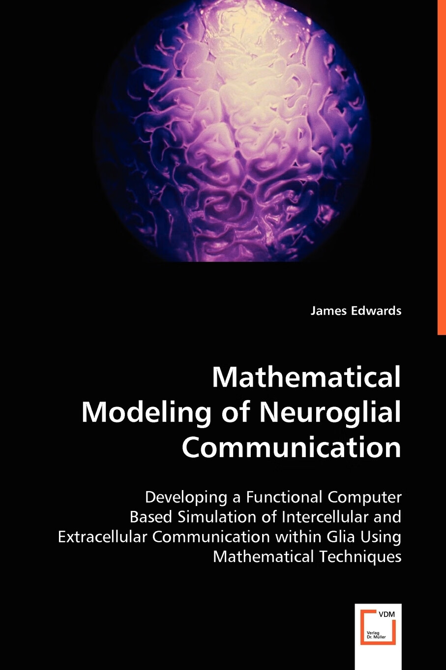 【预售 按需印刷】mathematical modeling of neuroglial