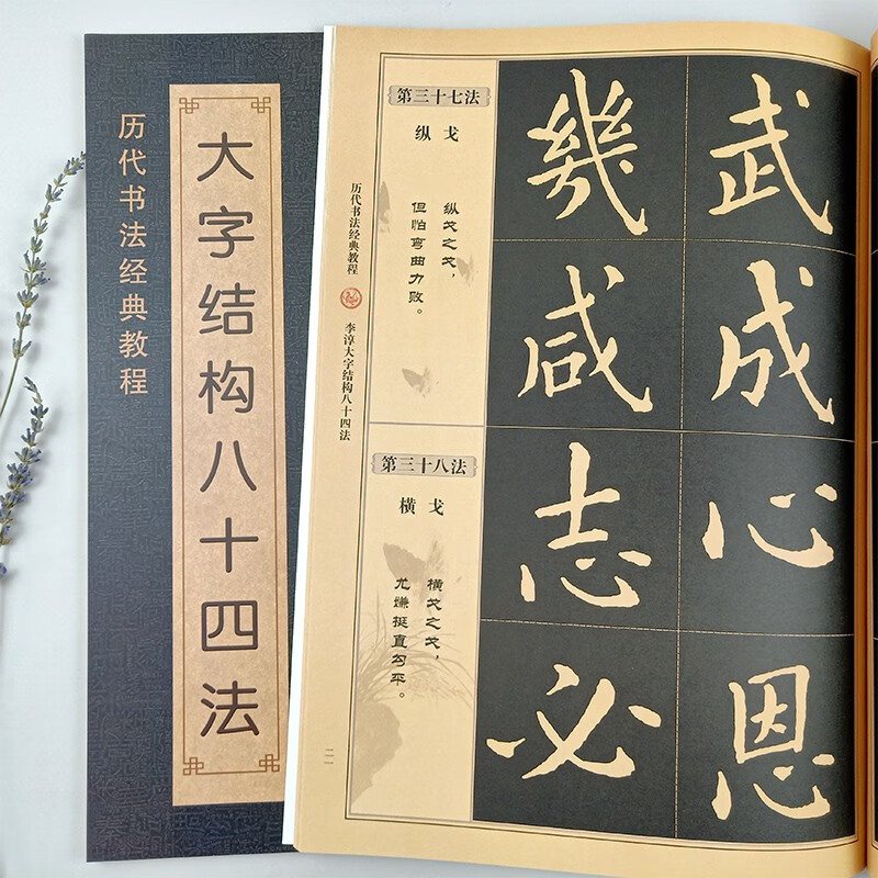 李淳大字结构八十四法 毛笔楷书教程临摹大字方格书法教程经典碑帖