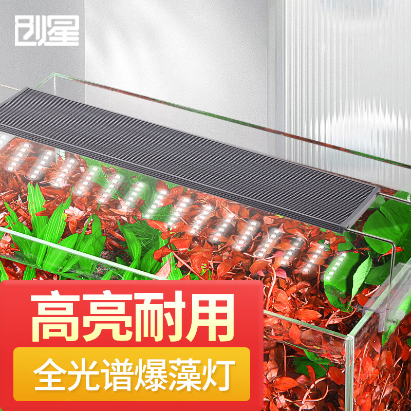 仔细分析创星66811鱼缸射灯感受如何？吐槽半个月经验分享