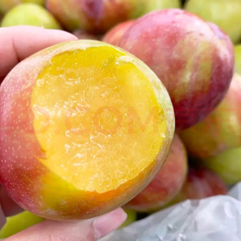 澳洲珠宝李新鲜李子鲜果黄肉布林孕妇恐龙蛋水果酸李子整箱生鲜 2斤