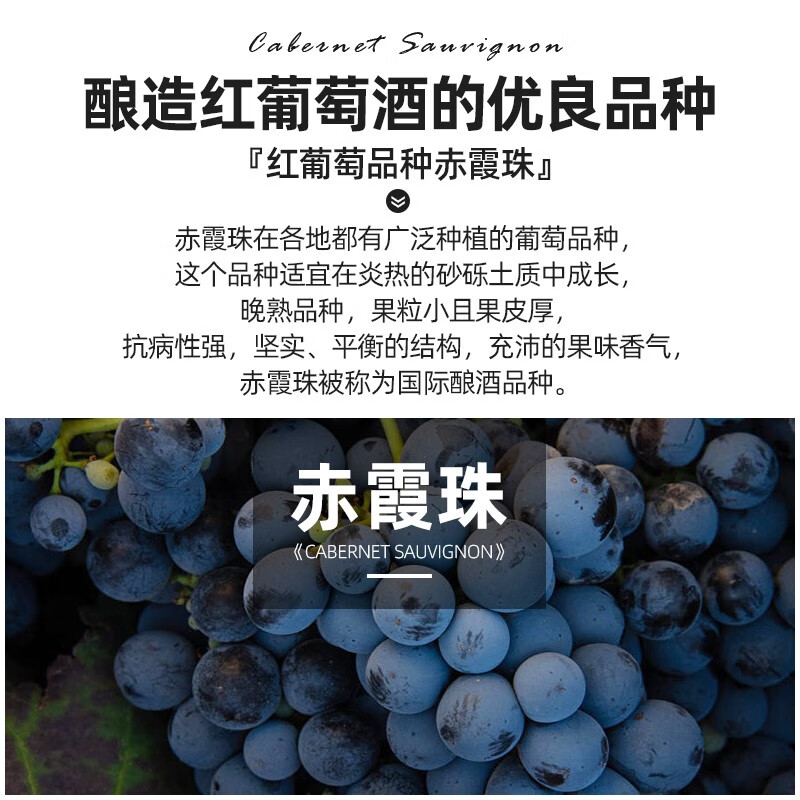 凯士图凯撒法国进口红酒 13.5度赤霞珠干红葡萄酒整箱装 节日送礼 【凯撒干红】2瓶+开酒器