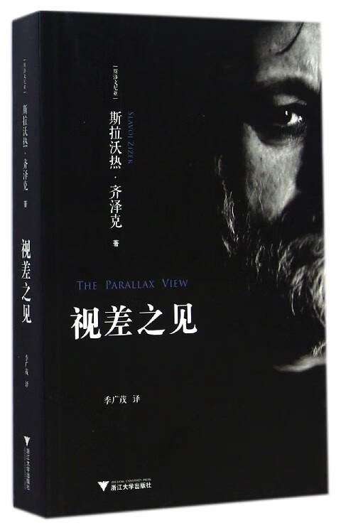视差之见