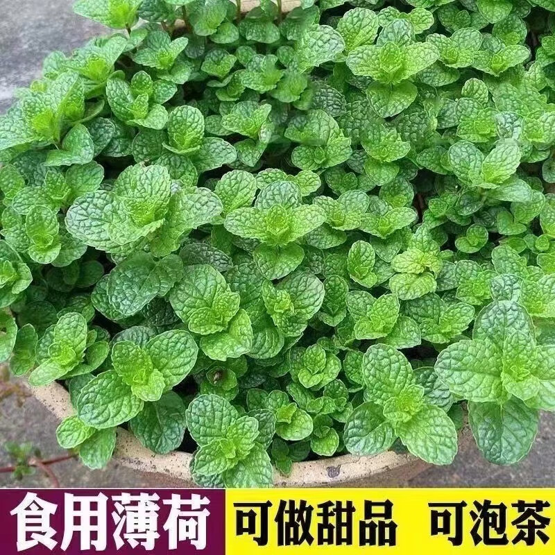 京东新品首发 2023-06-26 - 第17张  | 最新购物优惠券