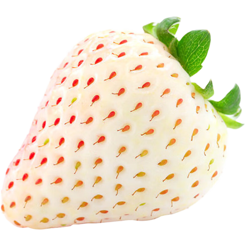 京鲜配淡雪白草莓 淡雪白色草莓礼盒装 新鲜水果牛奶奶油白雪公主 淡雪草莓1大盒（2小盒）礼盒装