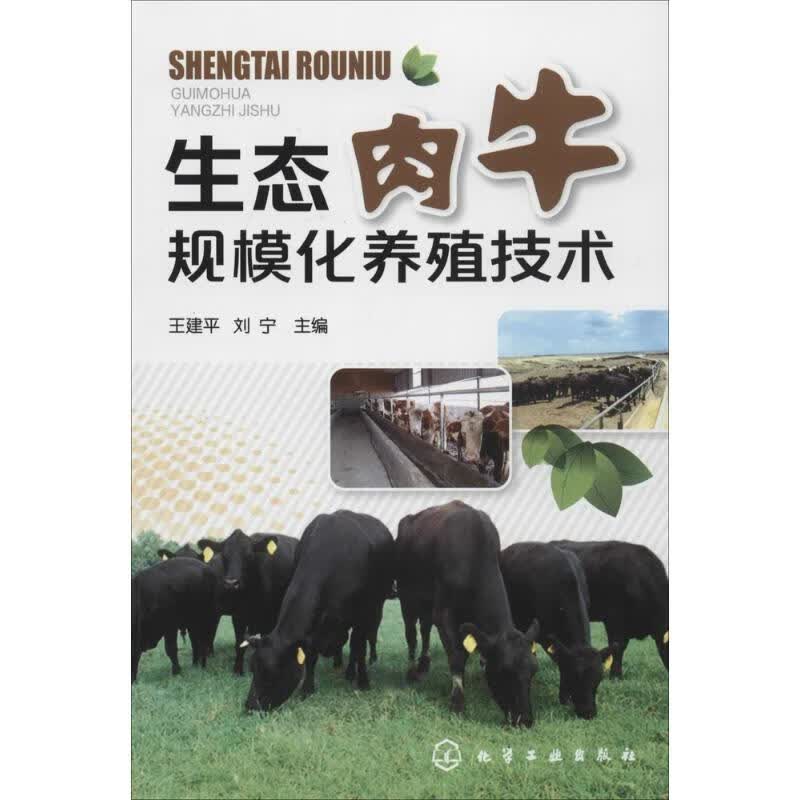 生态肉牛规模化养殖技术