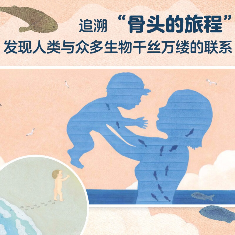 骨头的漫长之旅 精装儿童科普百科绘本 生物进化科学思考 安森妈妈推荐 3-6岁 7-10岁 爱心树童书暑假阅读暑假课外书课外暑假自主阅读暑期假期读物详情图