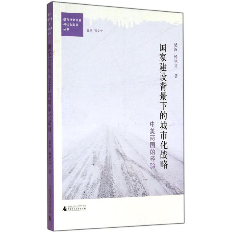 国家建设背景下的城市化战略 梁波 书籍