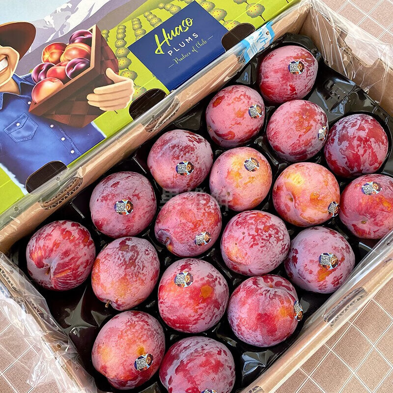 智利鸵鸟蛋李子 2斤 新鲜进口水果 绯红李 纯甜无酸感孕妇水果 100