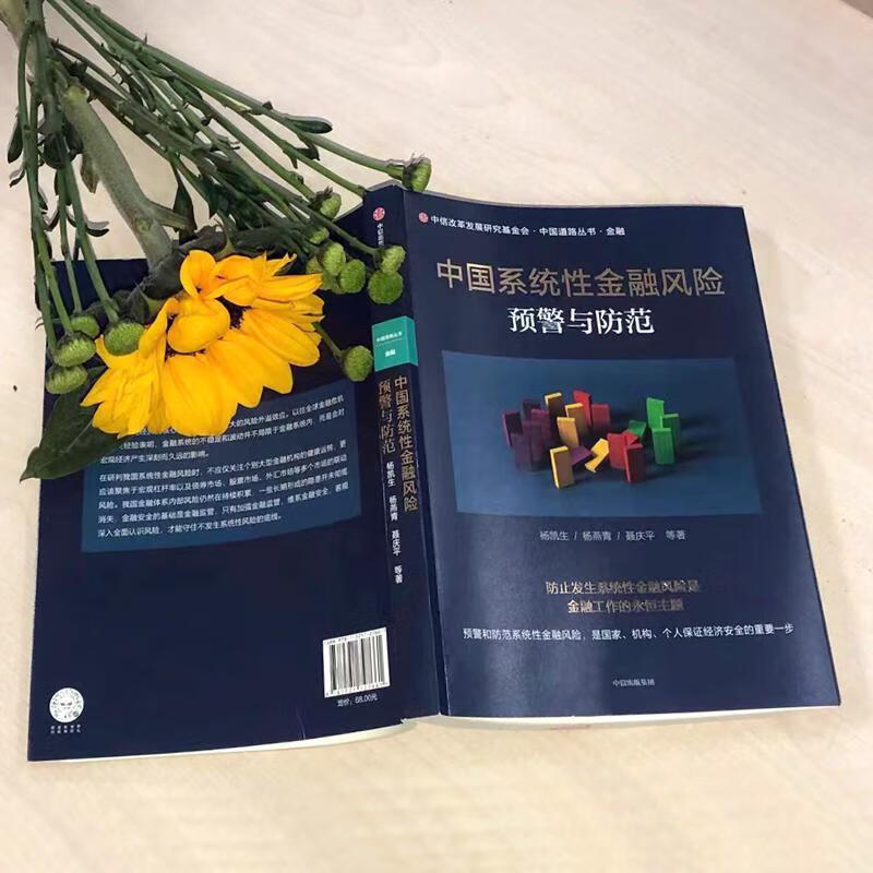 全新现货 中国系统性金融风险范 9787521727661  杨凯生 中信出版集团