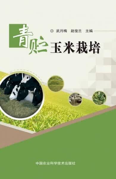 青贮玉米栽培9787511623478中国农业科学技术出版社