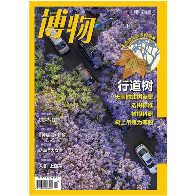 历史价格查询软件品牌推荐及购买指南