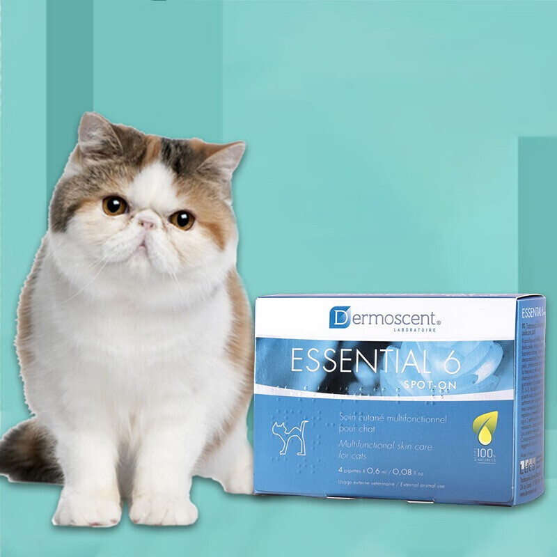 【只售 现货即发】黄金点滴剂宠物强健皮肤营养狗狗真猫癣皮肤病猫