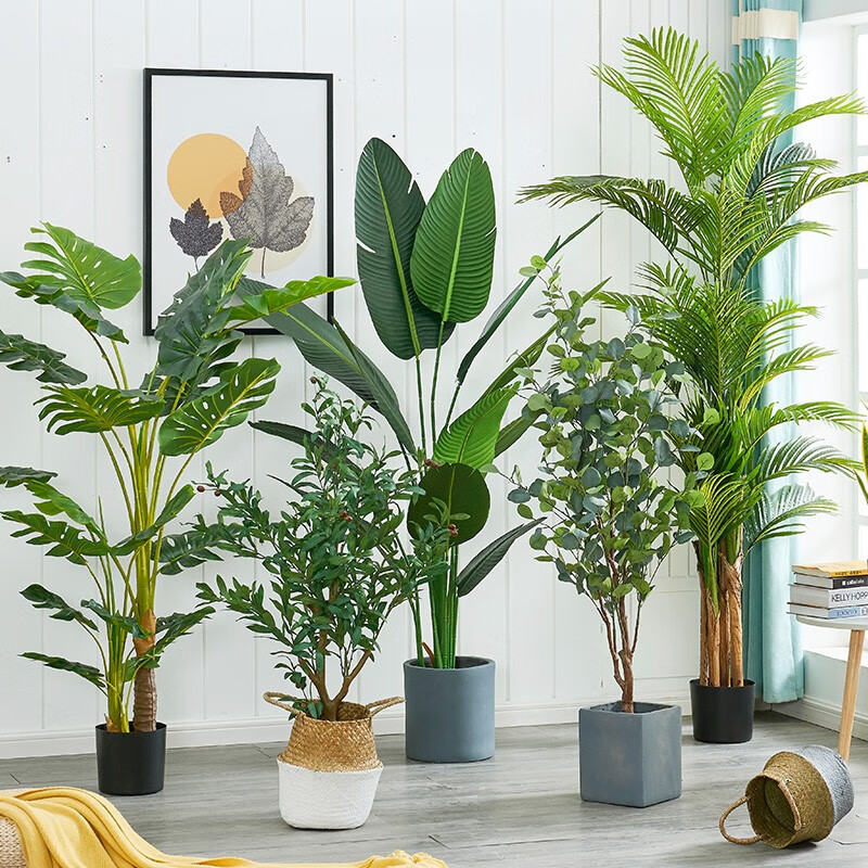 槿瑰北欧仿绿植盆栽龟背竹旅人蕉植物盆景室内客厅假绿植大型摆件 80