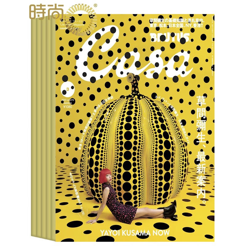 casa brutus杂志(カーサブルータス) 2024年杂志订阅一年共12期