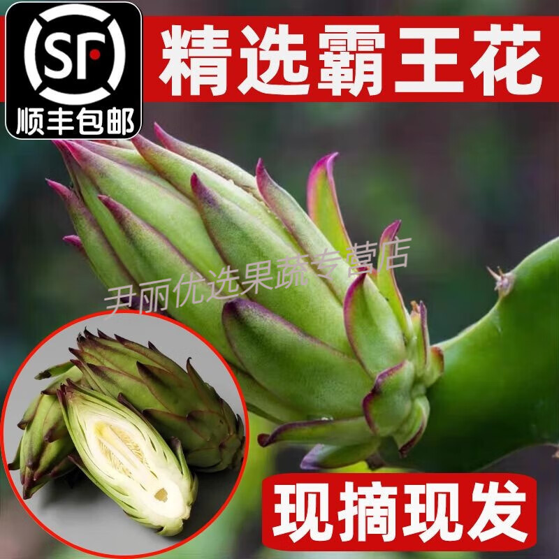 顺丰霸王花新鲜火龙果花炖汤煲汤酒店特色食材蔬菜花苞剑花 广东省内