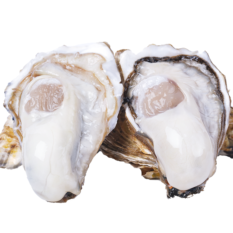 鲜海道【活鲜】鲜海道生蚝  乳山牡蛎 新鲜海蛎子生鲜贝类 精品2XL5斤送酱（13-17只）