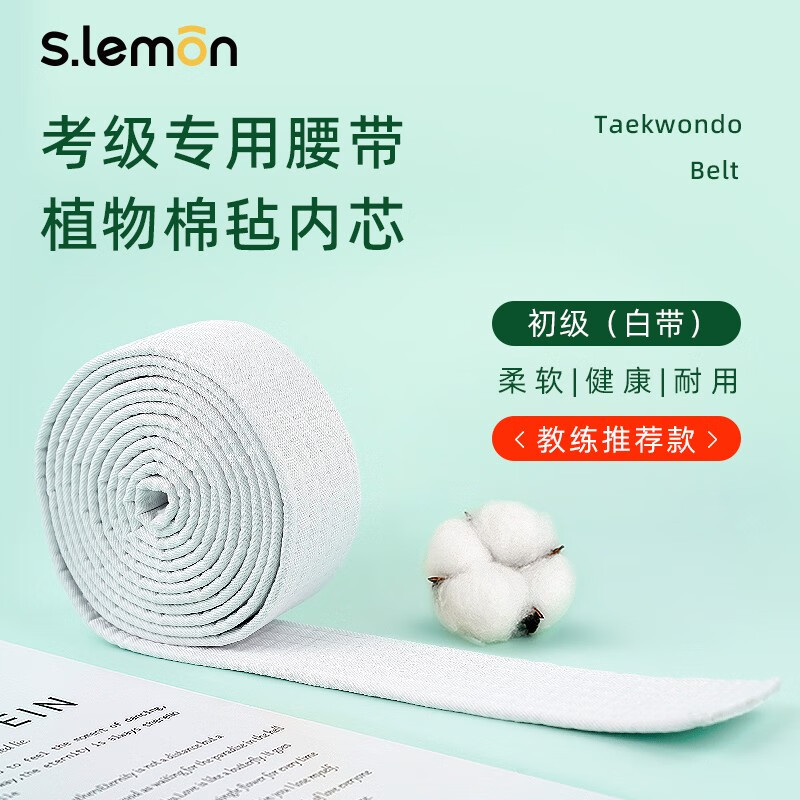 lemon跆拳道腰带儿童成人红黑黄白绿蓝彩色考级专用道带 白带(十级)