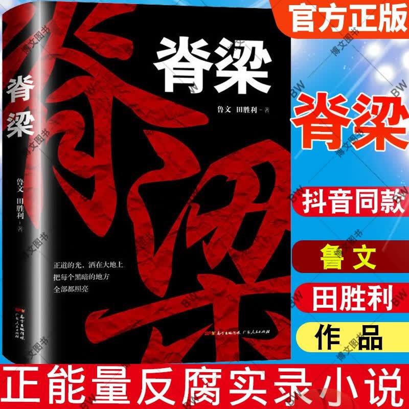 正版 脊梁小说 鲁文田胜利 脊梁鲁文 共和国的脊梁小说正能量反腐电视剧正版官场小说正道的光洒在大地上广东人民出版社 脊梁小说 脊梁鲁文使用感如何?