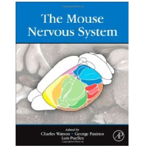 彩色印制/The Mouse Nervo