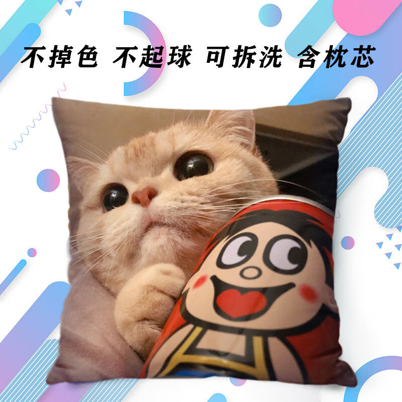 萌宠猫宠物抱枕定制周边游戏照片休闲动漫来图定做靠枕靠垫 6 40x40cm