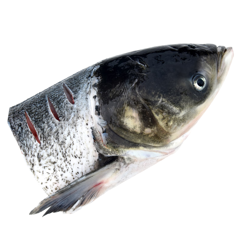 鲜喜爱 冷冻千岛湖鲢鱼头1斤 半边鱼头 生鲜鱼类 海鲜水产 